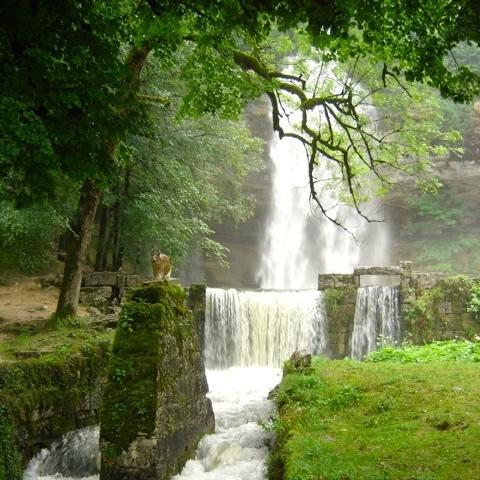 Au Moulin des Fées - Maison d'hôtes Cascades du Hérisson Bonlieu Exterior foto